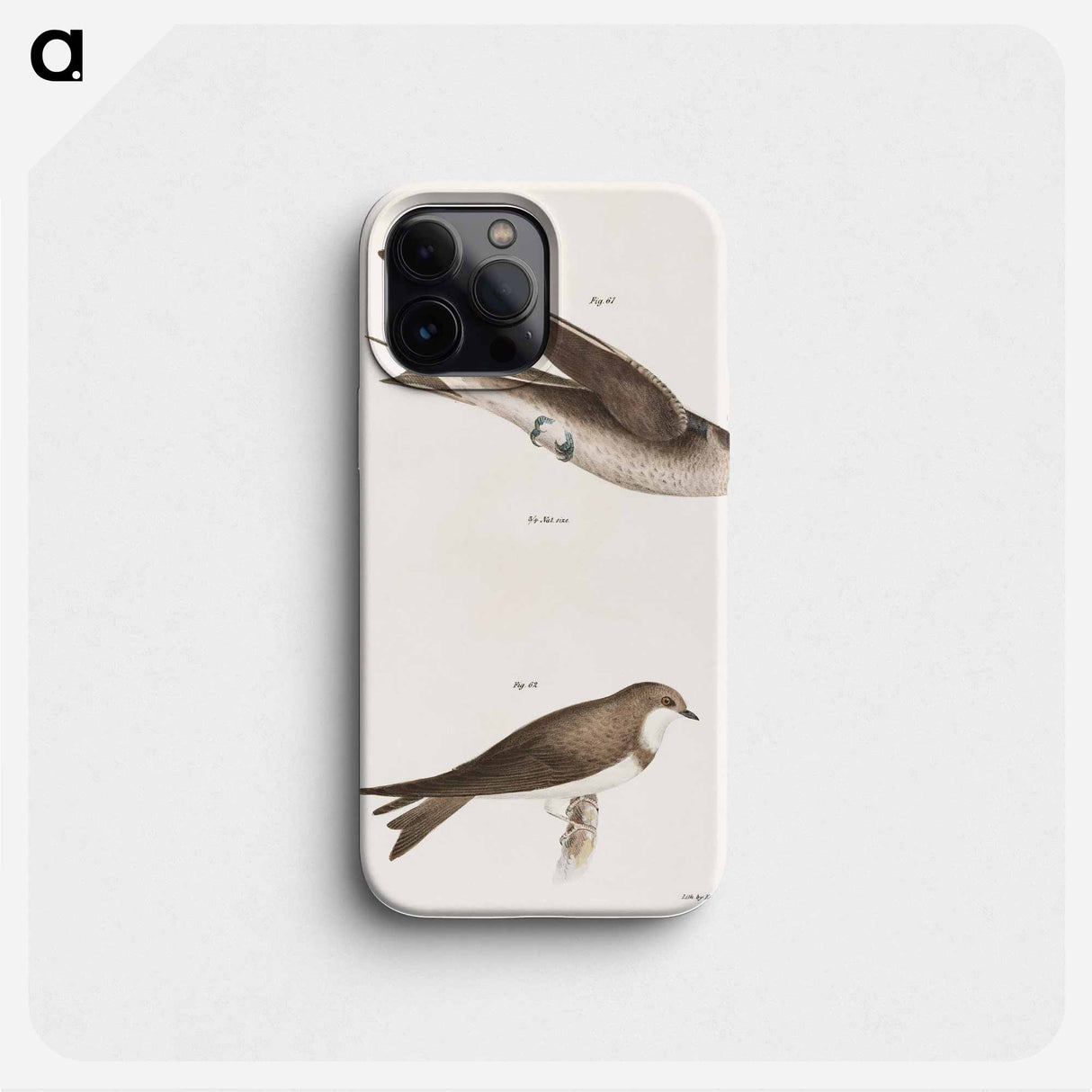 The Purple Martin - ニューヨークの動物学 Phone Case.