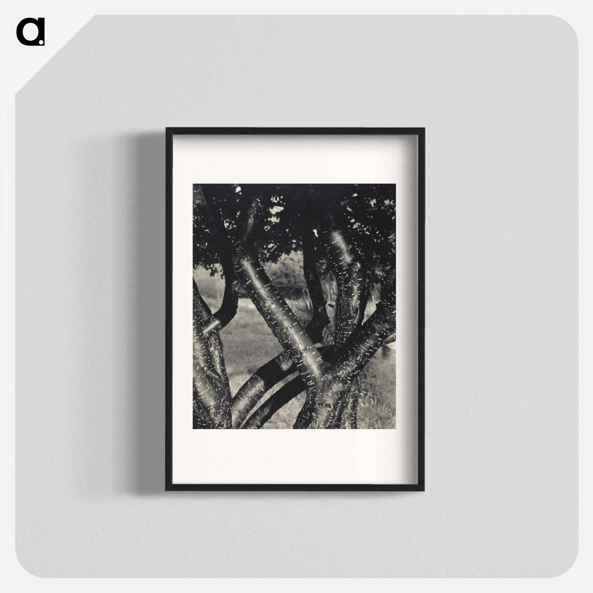 The Dancing Trees - アルフレッド スティーグリッツ Poster.
