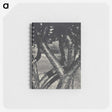 1-98_Alfred-Stieglitz_memo