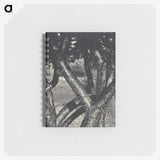 1-98_Alfred-Stieglitz_memo