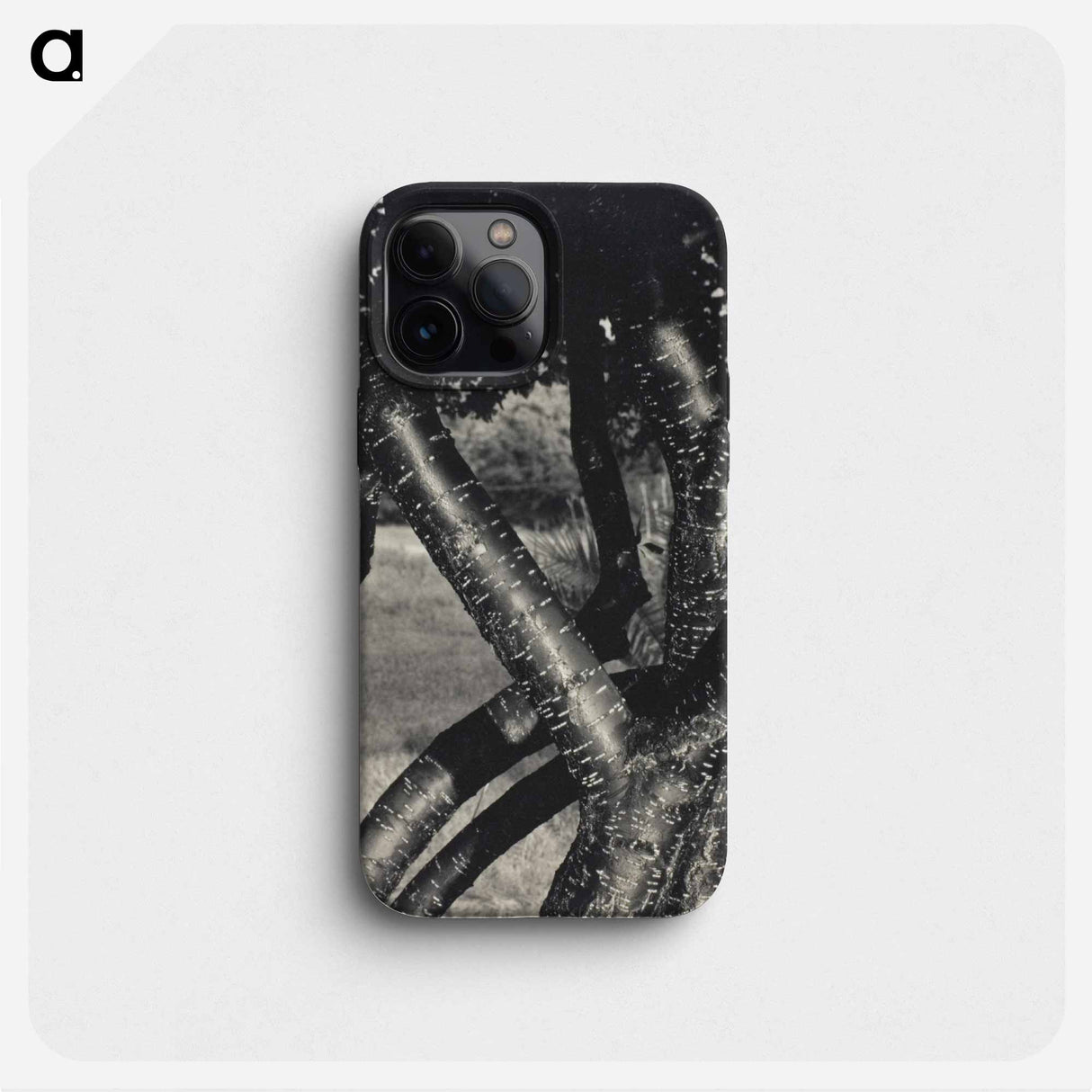 The Dancing Trees - アルフレッド スティーグリッツ Phone Case.