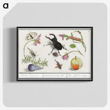 1-98_Anselmus-Boetius-de-Boodt_blk-crop