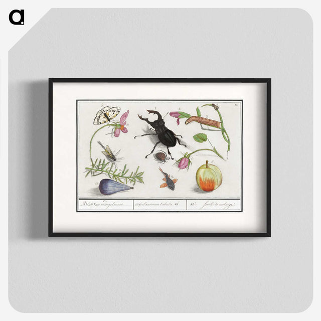 1-98_Anselmus-Boetius-de-Boodt_blk