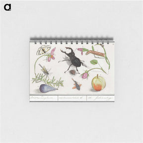 1-98_Anselmus-Boetius-de-Boodt_memo