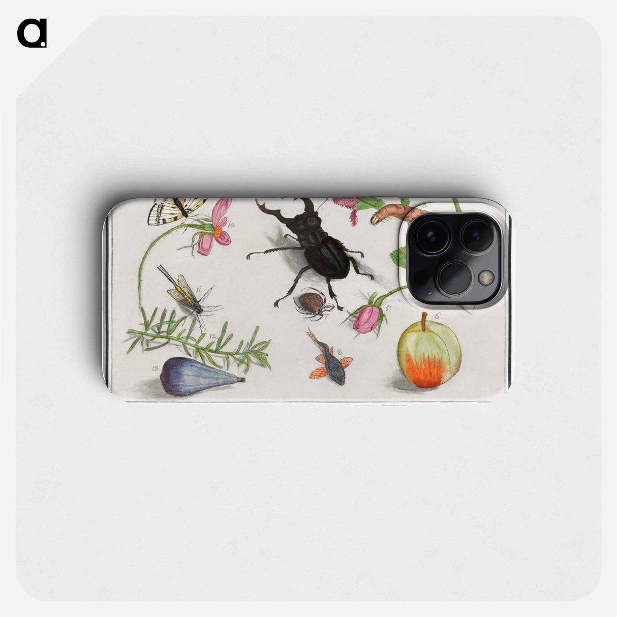 Natural History Ensemble, no. 13 - アンセルムス ボエティウス デ ブート Phone Case.