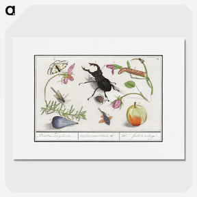 1-98_Anselmus-Boetius-de-Boodt_picture