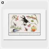Natural History Ensemble, no. 13 - アンセルムス ボエティウス デ ブート Poster.