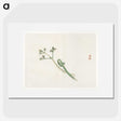 1-98_Bairei-Gakan_picture