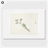 1-98_Bairei-Gakan_picture