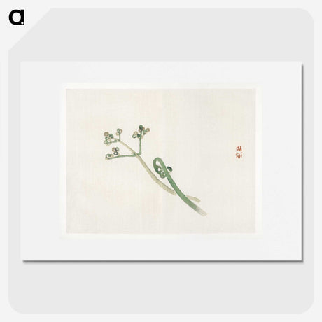 1-98_Bairei-Gakan_picture
