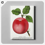 1-98_Botanical-Specimen-Plates_canvas