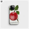 1-98_Botanical-Specimen-Plates_phone