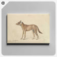 1-98_Charles-Hamilton-Smith_canvas