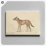 1-98_Charles-Hamilton-Smith_canvas