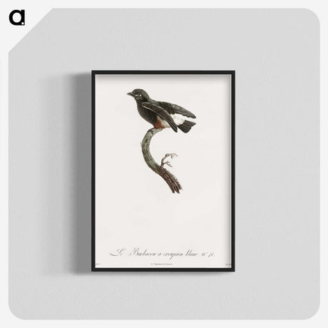 1-98_Des-Oiseaux-de-Paradis_blk-crop