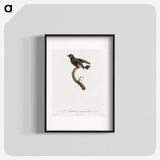 1-98_Des-Oiseaux-de-Paradis_blk