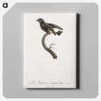1-98_Des-Oiseaux-de-Paradis_canvas
