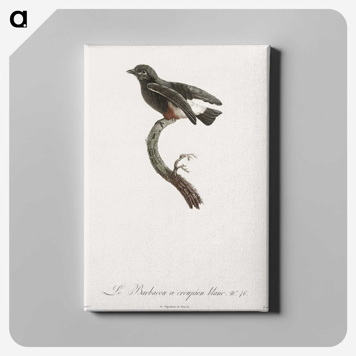 1-98_Des-Oiseaux-de-Paradis_canvas