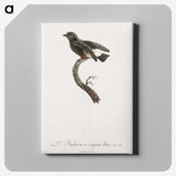 1-98_Des-Oiseaux-de-Paradis_canvas