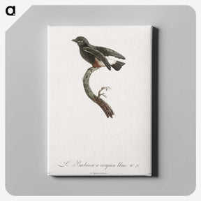 1-98_Des-Oiseaux-de-Paradis_canvas