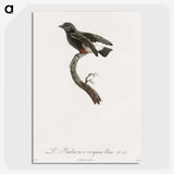 1-98_Des-Oiseaux-de-Paradis_picture-crop