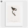 1-98_Des-Oiseaux-de-Paradis_picture