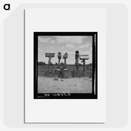1-98_Dorothea-Lange_picture