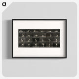 1-98_Eadweard-Muybridge_blk