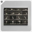 1-98_Eadweard-Muybridge_canvas