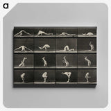 1-98_Eadweard-Muybridge_canvas