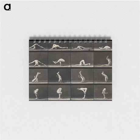 アートメモ帳-Acrobatic Contortions
 - エドワード マイブリッジ Memo.