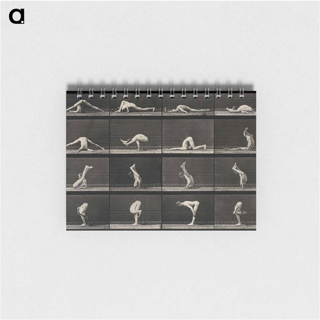 アートメモ帳-Acrobatic Contortions
 - エドワード マイブリッジ Memo.
