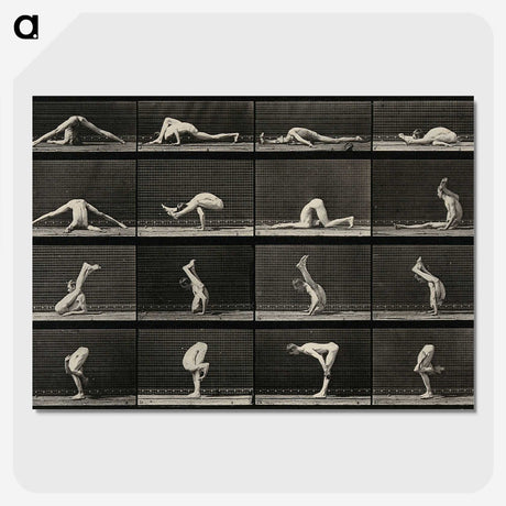 1-98_Eadweard-Muybridge_picture-crop