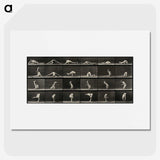 1-98_Eadweard-Muybridge_picture