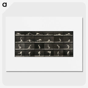 1-98_Eadweard-Muybridge_picture