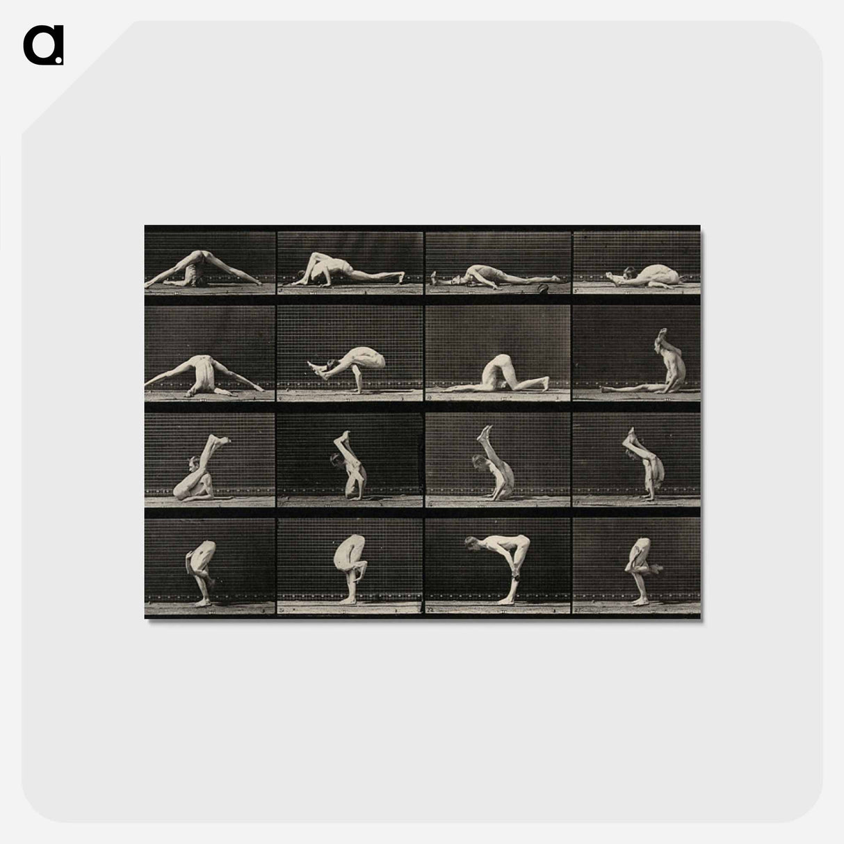 アートポストカード-Acrobatic Contortions
 - エドワード マイブリッジ Postcard.