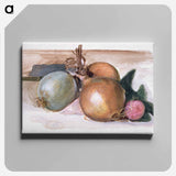 Still-Life - Study of Onions - エドワード バーン ジョーンズ Canvas.