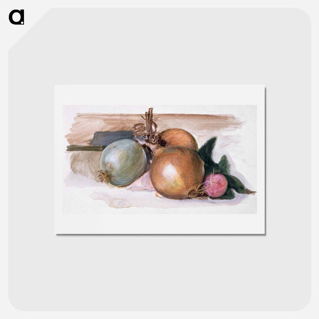 アートポストカード-Still-Life - Study of Onions - エドワード バーン ジョーンズ Postcard.