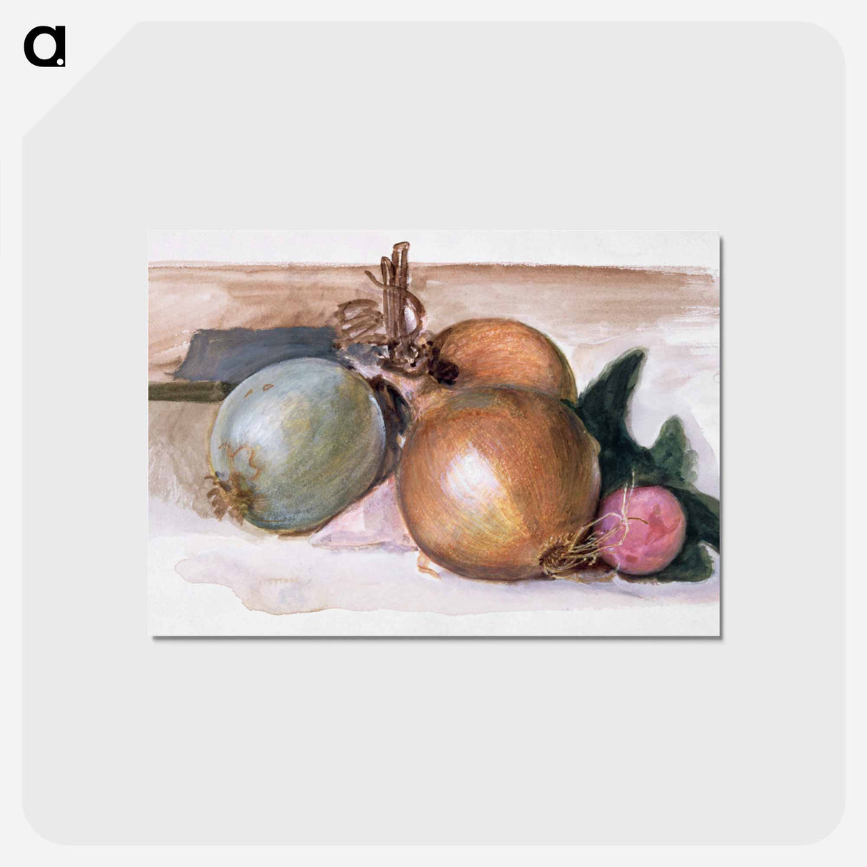 アートポストカード-Still-Life - Study of Onions - エドワード バーン ジョーンズ Postcard.