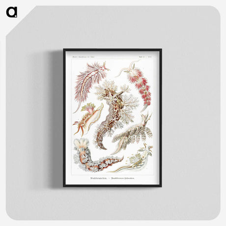 1-98_Ernst-Haeckel_blk-crop