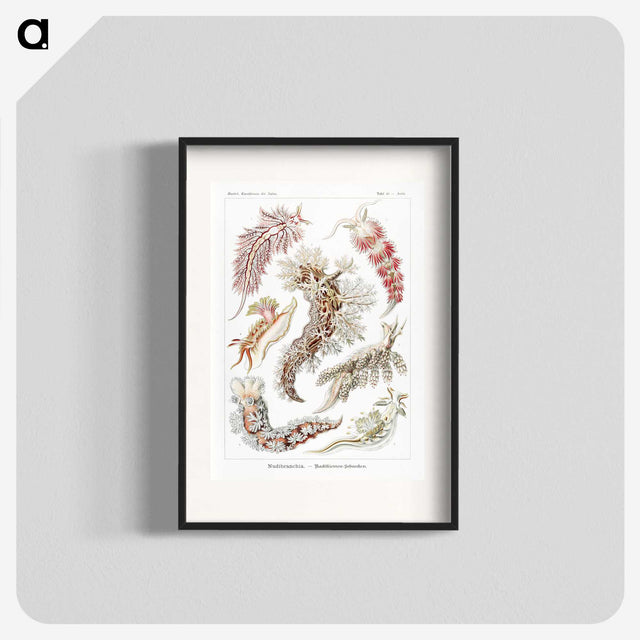 1-98_Ernst-Haeckel_blk
