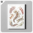 1-98_Ernst-Haeckel_canvas