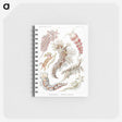 1-98_Ernst-Haeckel_memo