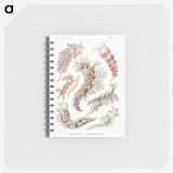 1-98_Ernst-Haeckel_memo