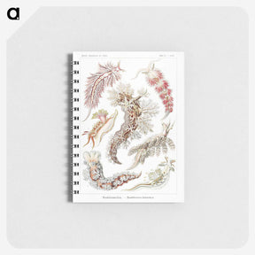 1-98_Ernst-Haeckel_memo