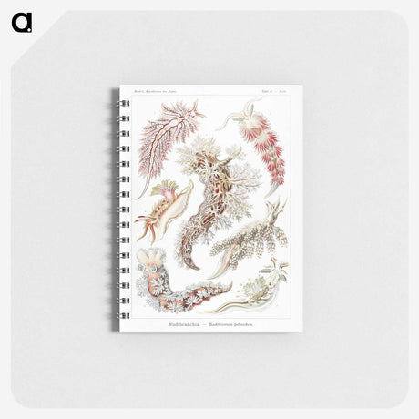 1-98_Ernst-Haeckel_memo