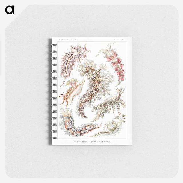 1-98_Ernst-Haeckel_memo