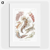 1-98_Ernst-Haeckel_picture