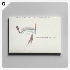 1-98_Frank-Edward-Clarke_canvas