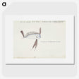 1-98_Frank-Edward-Clarke_picture